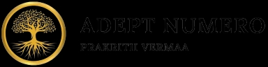 Adept Numero Company Logo